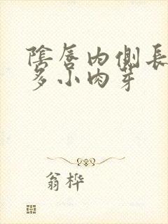 阴唇内侧长了许多小肉芽