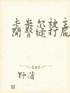 卡米尔被主人扒开臀缝打屁股小说