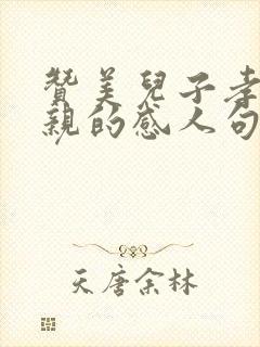 赞美儿子孝顺母亲的感人句子