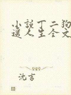 小说丁二狗的逍遥人生全文免费阅读