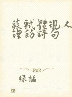 苏轼体现人生哲理的诗句