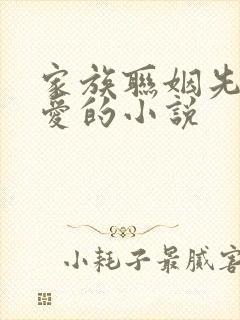 家族联姻先婚后爱的小说