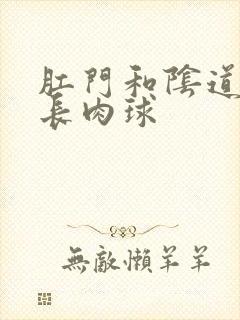 肛门和阴道中间长肉球