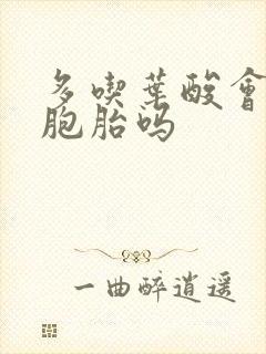 多吃叶酸会生双胞胎吗