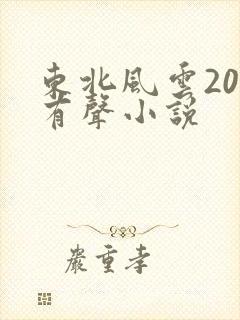 东北风云20年有声小说