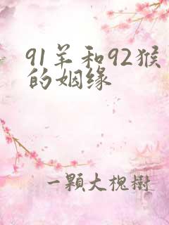 91羊和92猴的姻缘