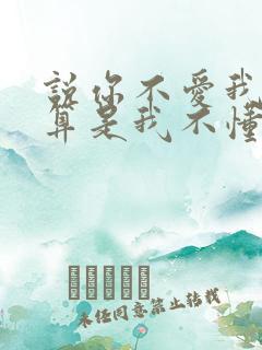 说你不爱我,就算是我不懂