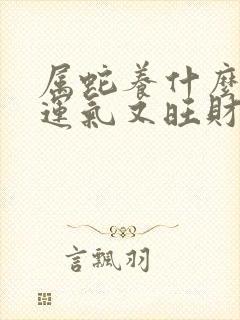 属蛇养什么花好运气又旺财