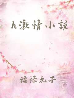 h激情小说