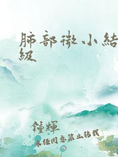 肺部微小结节2级