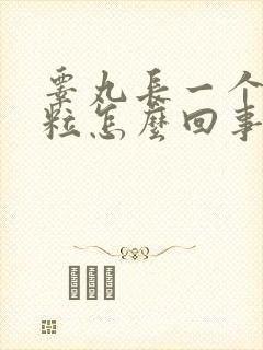 睾丸长一个小肉粒怎么回事