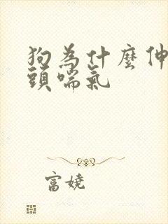 狗为什么伸着舌头喘气