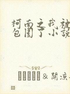 柯南之我被卧底包围了小说