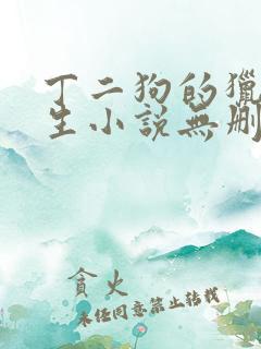 丁二狗的猎艳人生小说无删减小说
