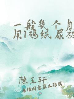 一般几个月宝宝用l码纸尿裤