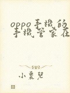 oppo手机的手机管家在哪个系统里面