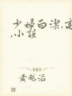 少妇白洁,高义,小说