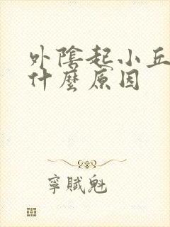 外阴起小丘疹是什么原因