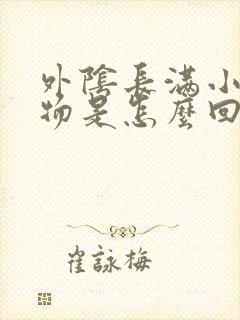 外阴长满小赘生物是怎么回事