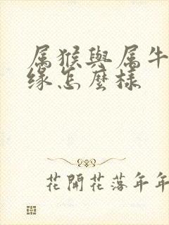 属猴与属牛的姻缘怎么样