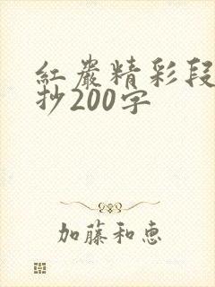 红岩精彩段落摘抄200字