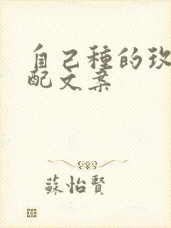 自己种的玫瑰花配文案