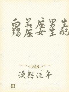 白羊座男生和摩羯座女生配对指数