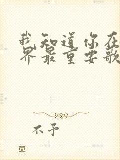 我知道你在我世界最重要歌词