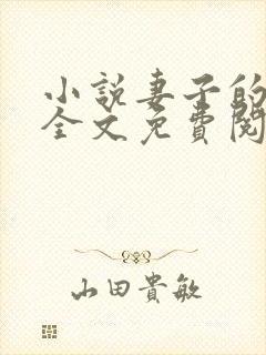 小说妻子的秘密全文免费阅读全文