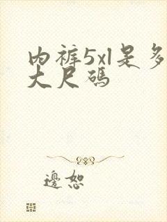 内裤5xl是多大尺码