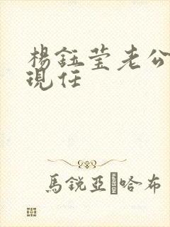 杨钰莹老公是谁现任