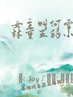 女主叫何雪男主林重五的小说