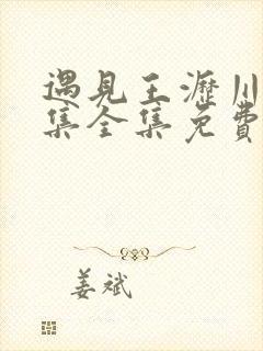 遇见王沥川38集全集免费高清