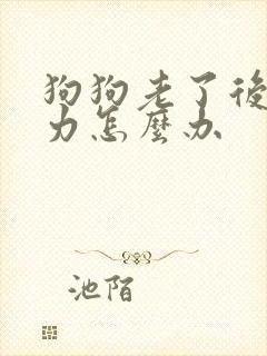 狗狗老了后腿无力怎么办