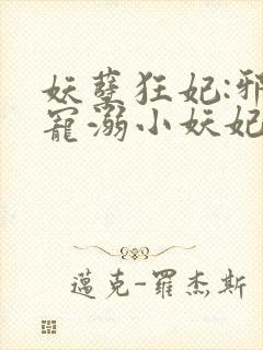 妖孽狂妃:邪君宠溺小妖妃