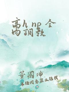 高h np 全肉调教
