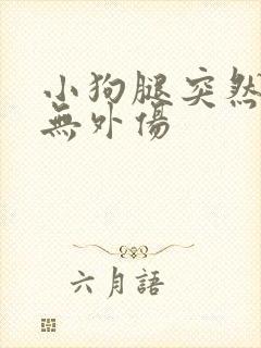 小狗腿突然瘸了无外伤