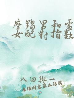 摩羯男和处女座女配对指数