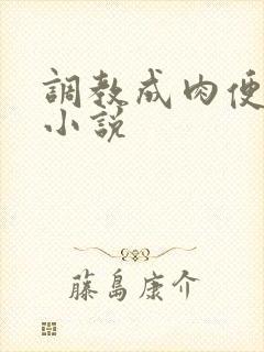 调教成肉便器的小说