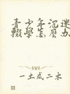 青少年沉迷游戏辍学怎么办