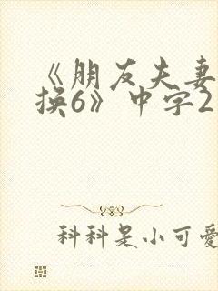 《朋友夫妻:交换6》中字2