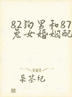 82狗男和87兔女婚姻配吗