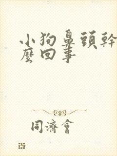 小狗鼻头干是怎么回事