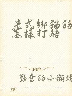 老式绑猫的绳子怎样打结