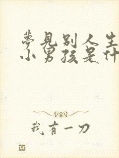 梦见别人生了个小男孩是什么预兆