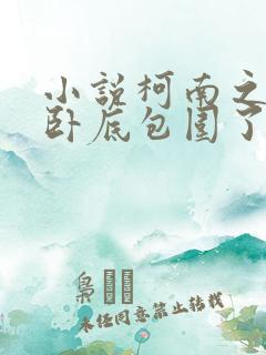 小说柯南之我被卧底包围了全文