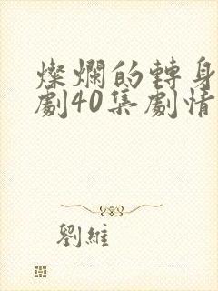 灿烂的转身电视剧40集剧情