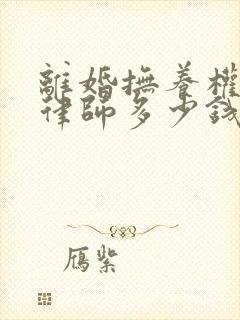 离婚抚养权纠纷律师多少钱