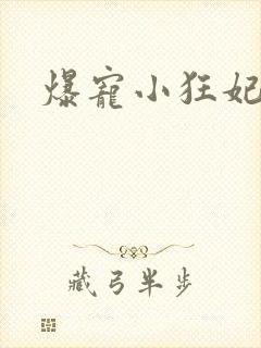 爆宠小狂妃短剧