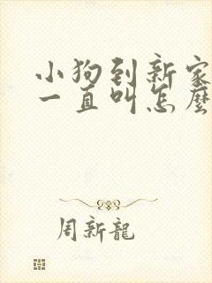 小狗到新家晚上一直叫怎么办